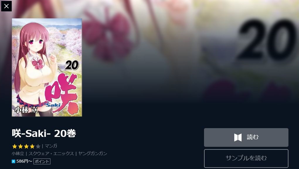 咲 Saki 全国編 3期 の動画を無料で全話視聴できる動画サイトまとめ アニメ動画大陸 アニメ動画無料視聴まとめサイト