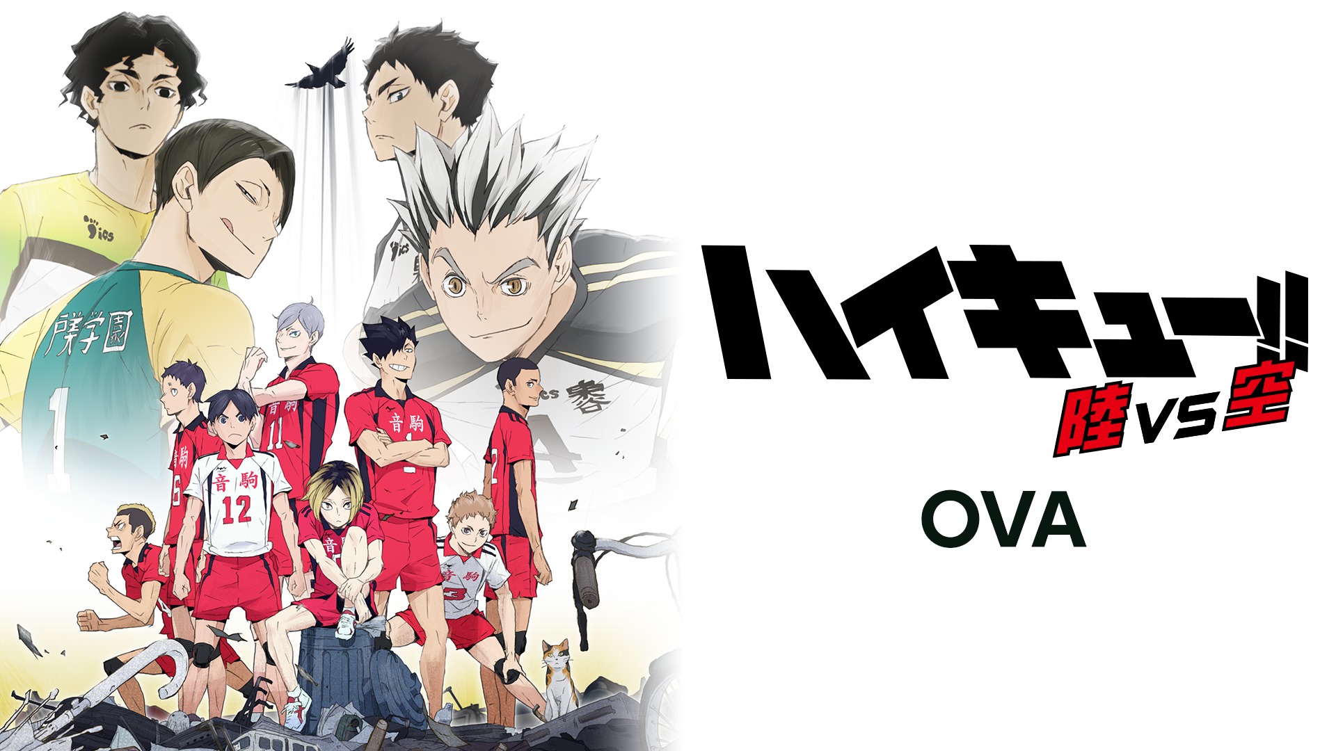 ハイキュー Ova 陸vs空の動画を無料で全話視聴の動画サイトまとめ アニメ動画大陸 アニメ動画無料視聴まとめサイト ハイキュー Ova 陸vs空の動画を無料で全話視聴の動画サイトまとめ アニメ動画大陸 アニメ動画無料視聴まとめサイト